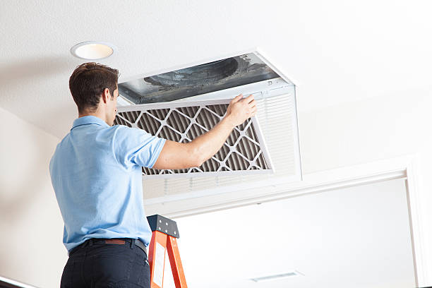 Best Central Air Repair  in Carlisle, IA